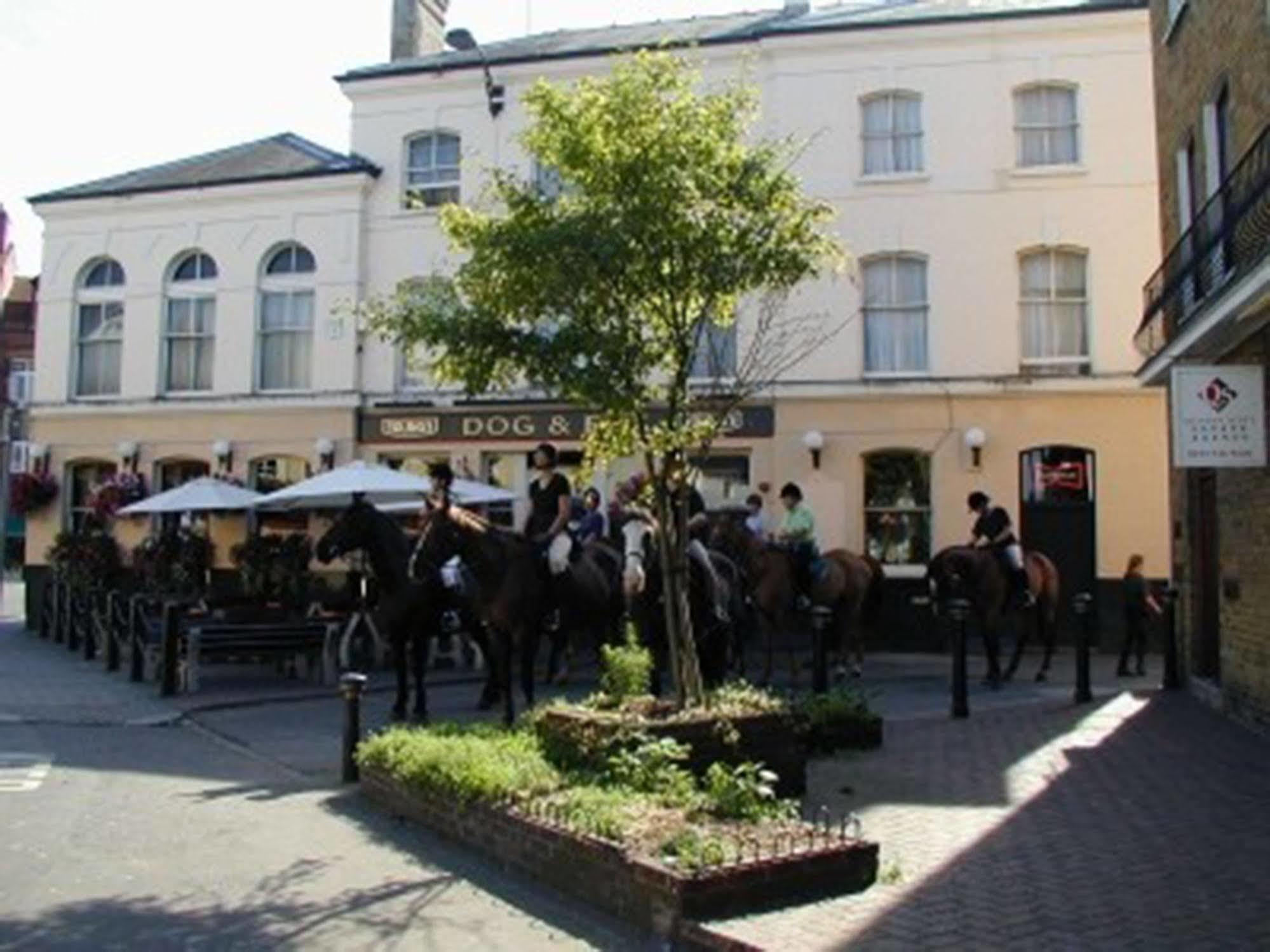 Lovely Garden Apartment In Wimbledon Town Centre With Private Parking By Wimbledon Holiday Lets Londra Dış mekan fotoğraf